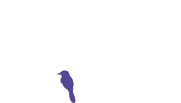 Chercheur de sons